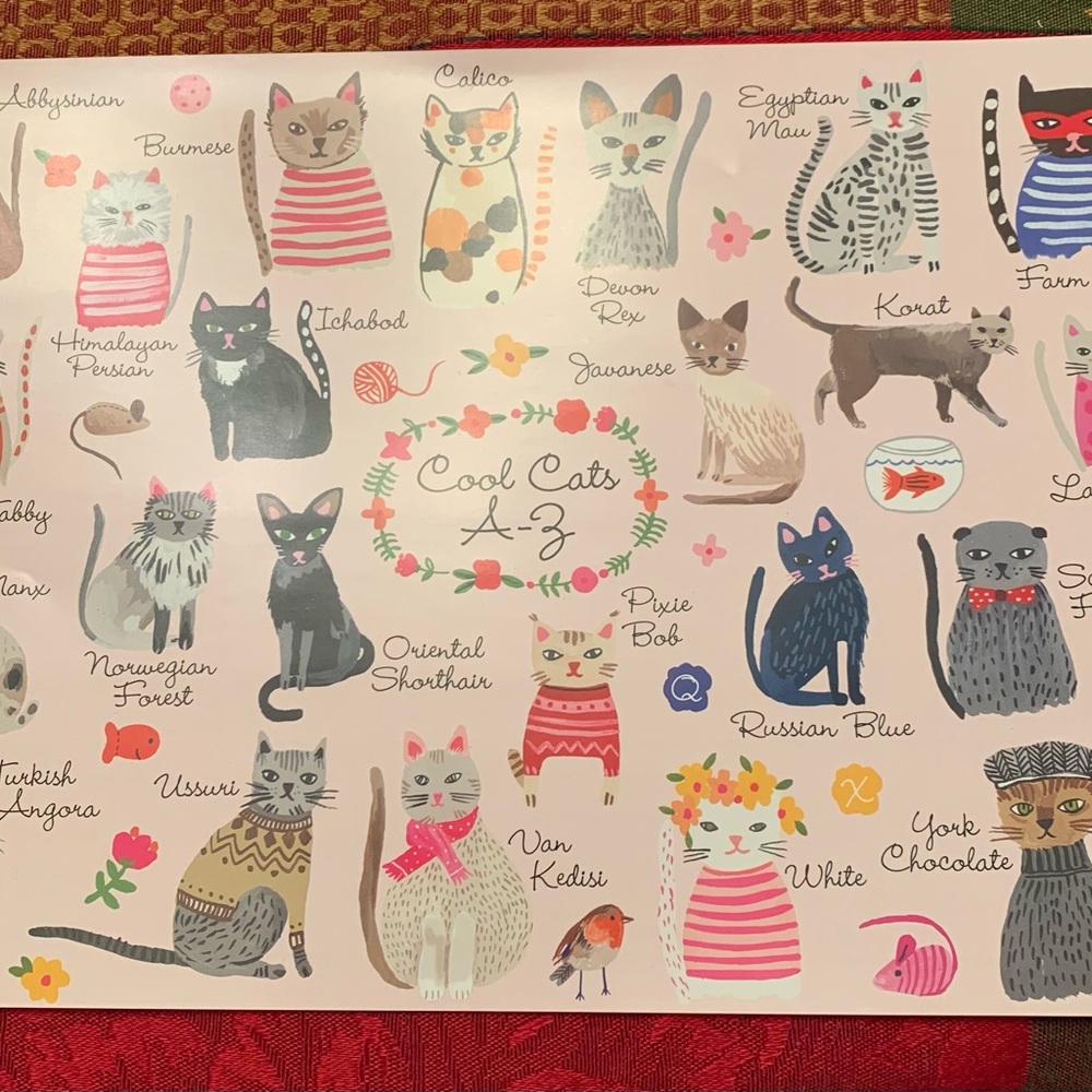 Cool Cats A-Z 1000 Piece Puzzle
